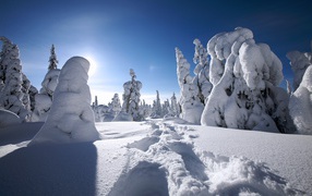 Winter in finland