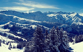 Зимний пейзаж в горах