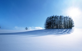 Зимний пейзаж