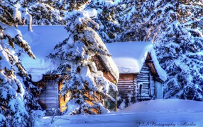 Деревянные дома на Аляске