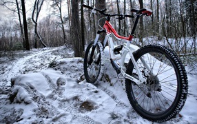 Велосипед на снегу