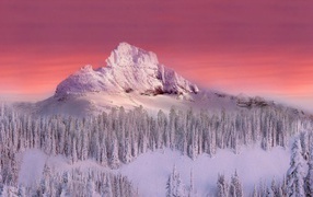 Гора и лес занесенные снегом