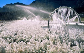 Ледяной пейзаж