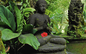 Buddha in the jungle on Bali