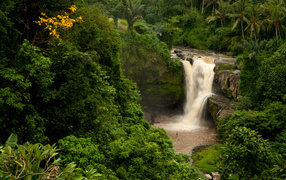 Waterfall in the jungle of Bali