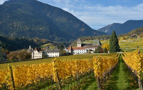 Поля в окрестностях города Нойштифт, Австрия