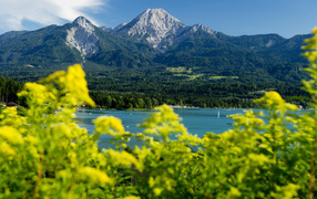 Зелень на фоне гор на курорте Фаакер-Зее, Австрия