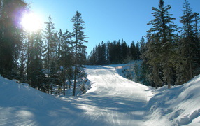 Лыжная трасса на курорте Зеефельд, Австрия