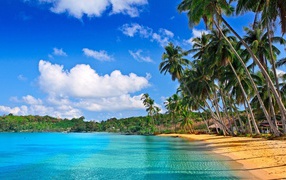 Удивительная картина Барбадоса пляжа