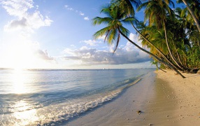 Famous beach of barbados