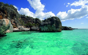 Green water in barbados