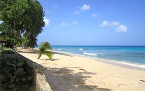 Sandy beaches in barbados