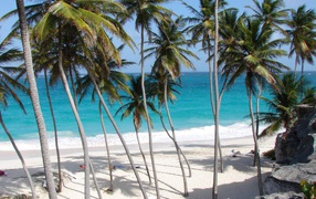 Впечатляющие место в Барбадос