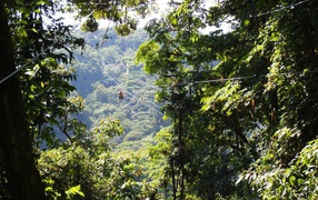 Веселье в Коста-Рика