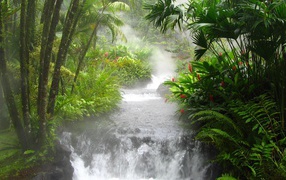 Hot water river in Costa rica