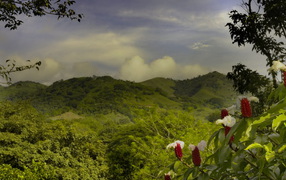 Пейзаж на Коста-Рика