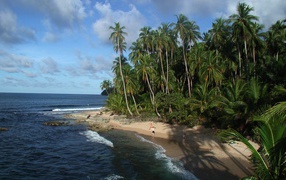 Пляж Мансанильо Коста-Рика