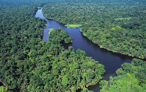 Природа Коста-Рика