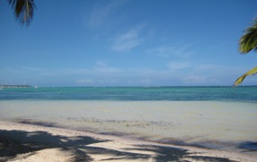 Удивительное Коста-Рика