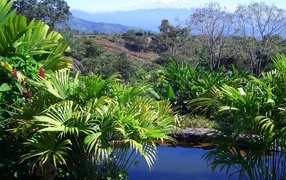 Привлекательное Коста-Рика