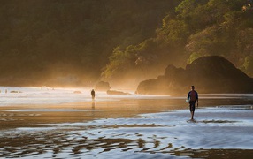 Элегантное Коста-Рика