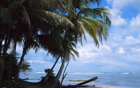 Невероятная страна Коста-Рика