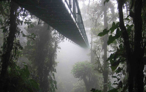 Удивительное место в Коста-Рика