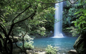 Невероятное место в Коста-Рика 