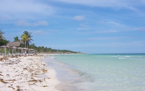 Autumn holiday in the resort of Cayo Coco, Cuba