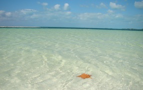 Shallow water in the resort of Cayo Largo, Cuba