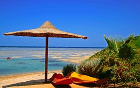 Autumn holiday on the beach in the resort of Marsa Alam, Egypt
