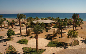 Palms on the beach in the resort of Taba, Egypt