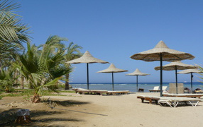 Relax on the beach in the resort of Marsa Alam, Egypt