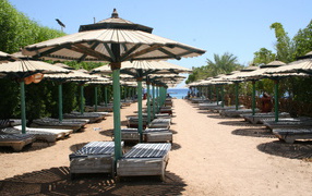 Winter holiday on the beach in the resort of Sharm El Sheikh, Egypt