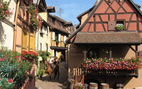 Цветущая улица в Эльзасе, Франция