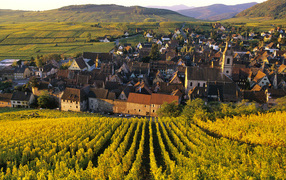 Город среди виноградников в Эльзасе, Франция