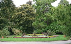 Клумба в городе Виши, Франция