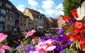 Цветы в Эльзасе, Франция