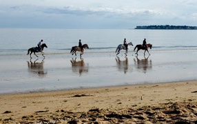 Конная прогулка на курорте Ла Боль, Франция