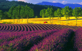 Пейзаж в Провансе, Франция