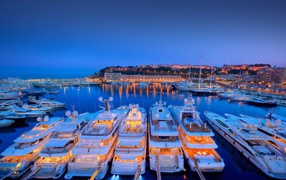 Night port in Monaco