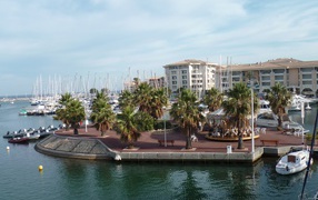 Пальмы на набережной на курорте Порт Де Фрежюс, Франция