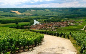 Дорога в провинции Шампань, Франция