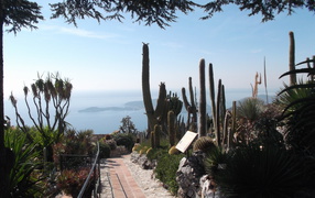 Дорожка на курорте Эз, Франция