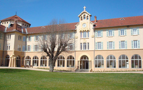 Дерево у здания в городе Лион, Франция