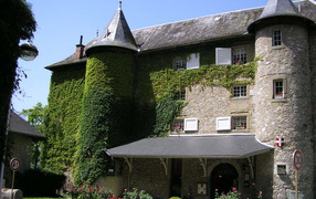 Заросший зеленью замок в городе Виши, Франция