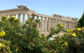 Цветущие кустарники на фоне Акрополя в Афинах
