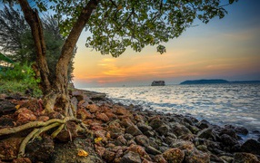 Красивые ландшафты в Гоа