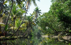 Красивая природа в Алапужа