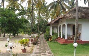 Красивые улицы в Алапуже